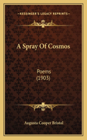 Spray Of Cosmos