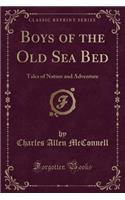 Boys of the Old Sea Bed: Tales of Nature and Adventure (Classic Reprint)