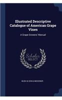 Illustrated Descriptive Catalogue of American Grape Vines