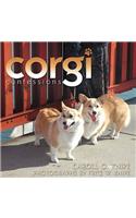 Corgi Confessions