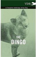 Dingo - A Complete Anthology of the Dog -