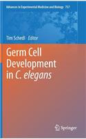 Germ Cell Development in C. Elegans