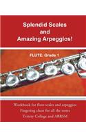 Splendid Scales and Amazing Arpeggios!: Workbook for grade 1 flute scales and arpeggios(English)