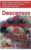 Descensos de barrancos en Tenerife (Edición en Color)