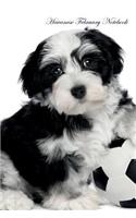 Havanese February Notebook Havanese Record, Log, Diary, Special Memories, To Do List, Academic Notepad, Scrapbook & More