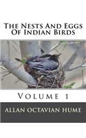 Nests And Eggs Of Indian Birds