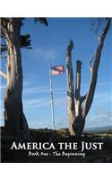 America the Just: Book One - The Beginning