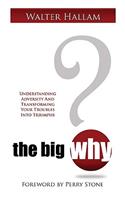 The Big Why?: Understanding Adversity and Transforming Your Troubles Into Triumphs