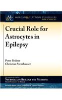 Crucial Role for Astrocytes in Epilepsy