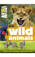 Wild Animals (Animal Planet Animal Bites)