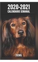 2020-2021 Calendario Semanal Teckel