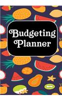 Budgeting planner: Personal Finance Planner Organizer for Debt Free Money Management Income expense and Savings log book