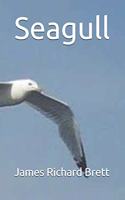 Seagull