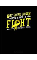 Not Going Down Without A Fight Cure Spina Bifida