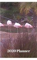 2020 Planner (Pink Flamingos)