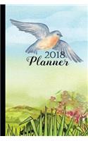 2018 Planner: 2018 Daily Planner, 12 Month Daily Planner, 2018 Calendar, Organizer, Journal, Notebook, Diary - 1-Page-a-Day - Extra dotted and blank pages for jou
