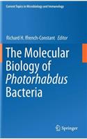 Molecular Biology of Photorhabdus Bacteria