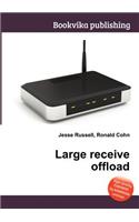 Large Receive Offload