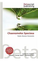 Chaenomeles Speciosa: (English)