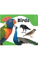 My First Board Book : Birds