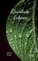 Raindrop Echoes