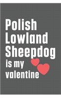 Polish Lowland Sheepdog is my valentine: For Polish Lowland Sheepdog Fans