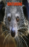 Binturong: Sagenhafte Fotos & Buch mit lustigem Wissen über Binturong für Kinder