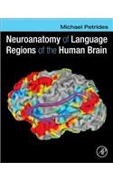 Neuroanatomy of Language Regions of the Human Brain