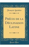 Précis de la Déclinaison Latine (Classic Reprint)