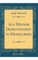 Aus Meiner Dozentenzeit in Heidelberg (Classic Reprint)