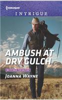 Ambush at Dry Gulch