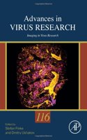 Imaging in Virus Research