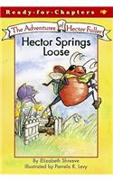 Hector Springs Loose