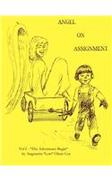 Angel on Assignment