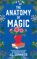 Anatomy of Magic