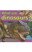 What Are Dinosaurs?