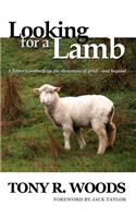 Looking for a Lamb