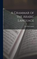 Grammar of the Arabic Language