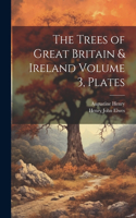Trees of Great Britain & Ireland Volume 3, Plates