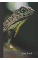 Flying Lizard