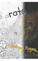 Rat Coloring Pages: Beautiful Rats Drawings for Kids and for Adults Relaxation