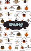 Wesley: Bug Insect Comic Book Notebook Journal Book 120 Pages 6x9