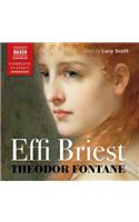 Effi Briest Lib/E