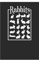 Rabbits