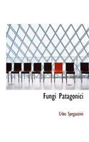 Fungi Patagonici