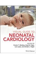 Visual Guide to Neonatal Cardiology