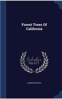 Forest Trees Of California
