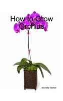 How to Grow Orchids