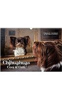 Chihuahuas - Cool & Cute / UK-Version 2017