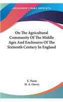 On The Agricultural Community Of The Middle Ages And Enclosures Of The Sixteenth Century In England